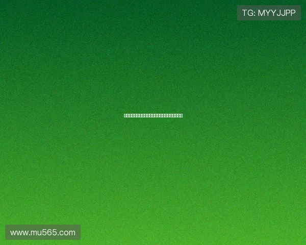 柏林联盟崛起：德甲新势力挑战传统强队的未来之路